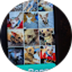 Profile photo of Beverly DeMarco