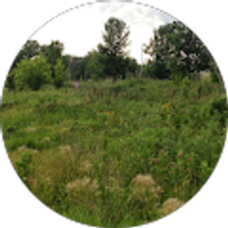 Profile photo of Ross Bergerson