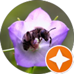 Profile photo of Rachel Drummond