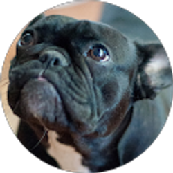 Profile photo of Theresa Laven