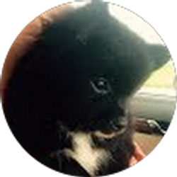 Profile photo of Cheryl Beck