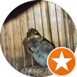 Profile photo of Lynn Dey