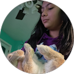 Profile photo of Yaneth Chicas