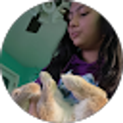 Profile photo of Yaneth Chicas