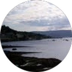 Profile photo of lynne kreiser