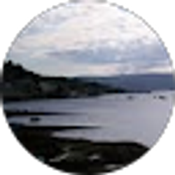 Profile photo of lynne kreiser