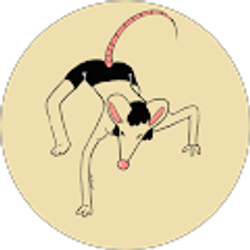 Profile photo of Michael Is my name