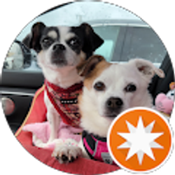 Profile photo of Tilly Lo