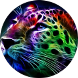 Profile photo of Cindy Miller