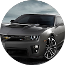 Profile photo of Chris Todd