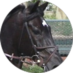 Profile photo of Susan Russell