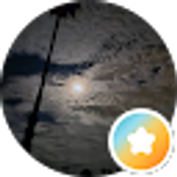 Profile photo of Kimberly Klink (Azgsdlover)