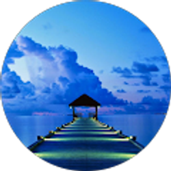 Profile photo of Mark Dallatorre