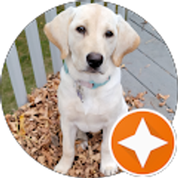 Profile photo of Abbey Laudenbach