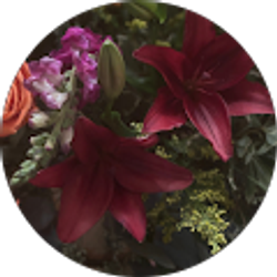 Profile photo of Renee Nichols