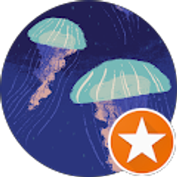 Profile photo of Kim Vercruysse