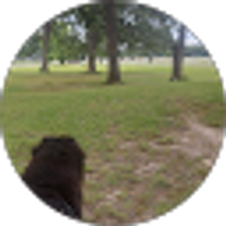 Profile photo of Juliana Palmer