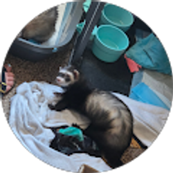 Profile photo of James bake