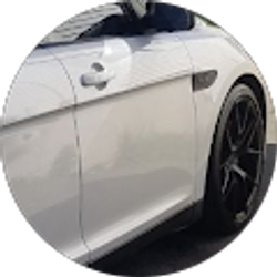 Profile photo of JuneJune