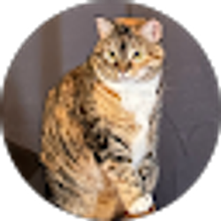 Profile photo of Melissa Rogers