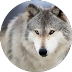 Profile photo of Gloria J. Cordell