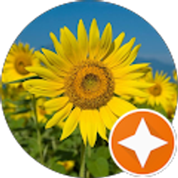 Profile photo of Melony Bradley