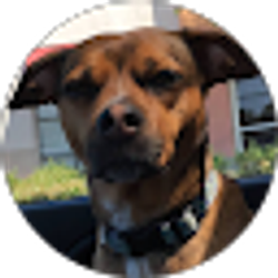 Profile photo of Chris Ochs