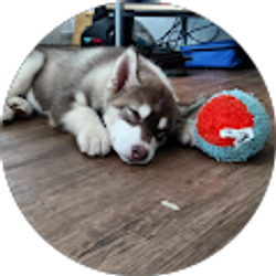 Profile photo of david howard