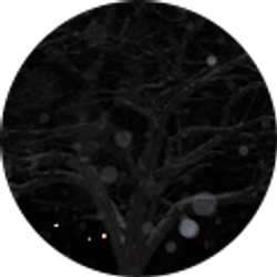 Profile photo of Carissa Napier