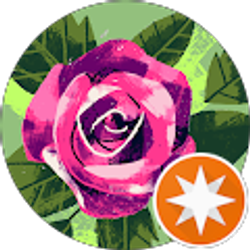 Profile photo of Dawn Ritacco