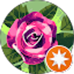 Profile photo of Dawn Ritacco