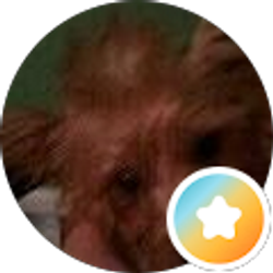 Profile photo of Megan Kerekes