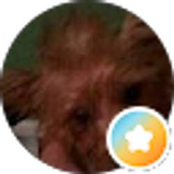 Profile photo of Megan Kerekes
