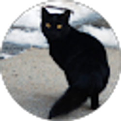 Profile photo of Adrien Krook