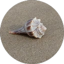 Profile photo of Mary Ann Hollenbach