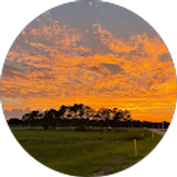 Profile photo of Dylan Williams