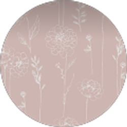 Profile photo of taylor jerge