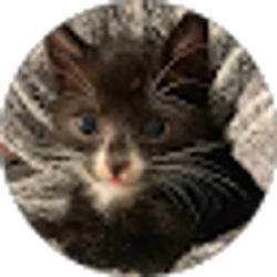 Profile photo of Natalie Brown