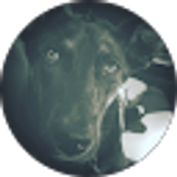 Profile photo of Jackson Leonard