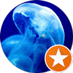 Profile photo of Charles Rez