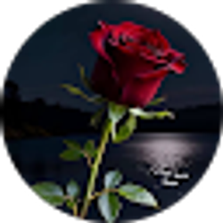 Profile photo of Yolanda Cruz
