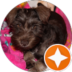 Profile photo of Trista Kovacic