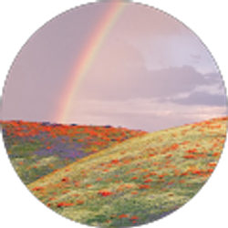 Profile photo of gladys haywood