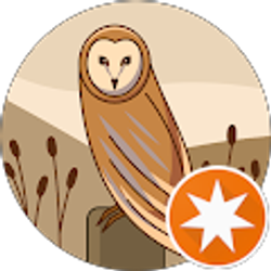 Profile photo of Fredo Walkin