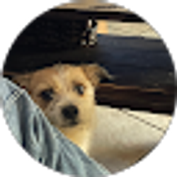 Profile photo of Trenton Burliegh