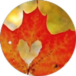 Profile photo of Heather Evans