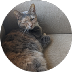 Profile photo of Daniel O'Connell