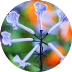 Profile photo of Greg