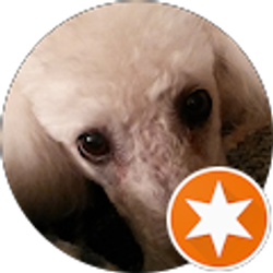 Profile photo of T. Farmer