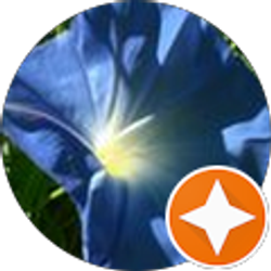 Profile photo of Claudia Staley